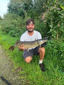 Northern Pike