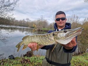 Northern Pike