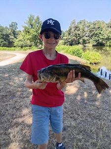 Largemouth Bass