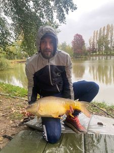 Mirror Carp