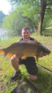 Mirror Carp