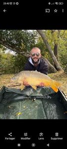 Mirror Carp