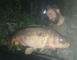 Mirror Carp