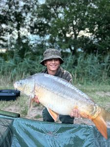Mirror Carp