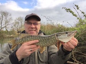 Northern Pike