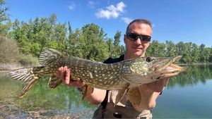 Northern Pike