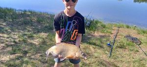 Common Bream