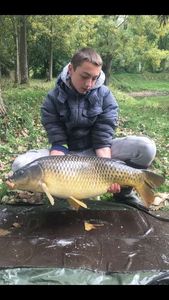 Common Carp