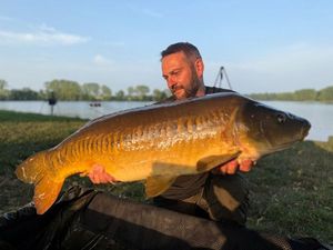 Carpe lineaire