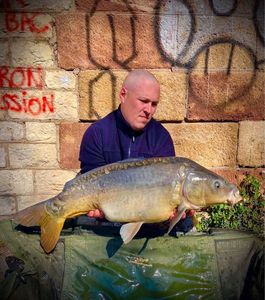Conger