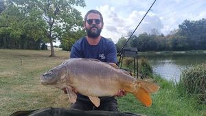 Mirror Carp