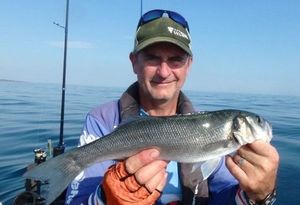 European Bass (Seabass)