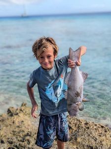 Peacock Grouper