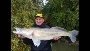 Zander