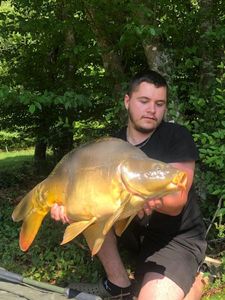 Mirror Carp
