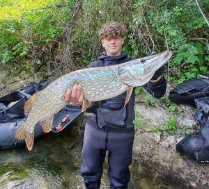 Northern Pike