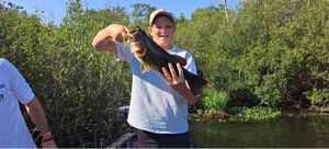 Largemouth Bass