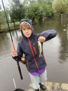 Largemouth Bass
