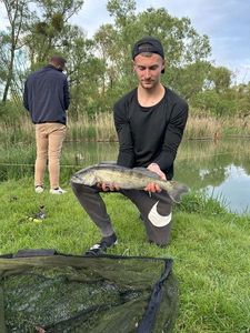 Zander