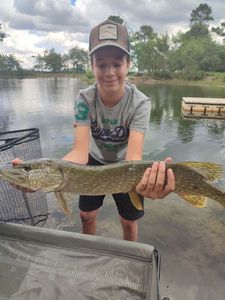 Northern Pike