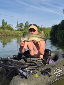 Largemouth Bass