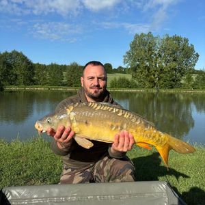 Mirror Carp