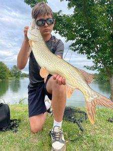 Northern Pike