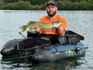 Northern Pike