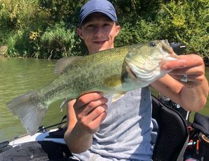 Smallmouth Bass