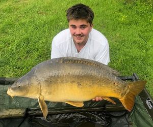 Mirror Carp