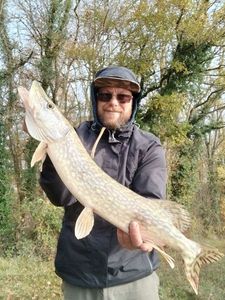 Northern Pike