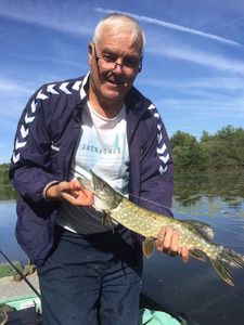 Northern Pike