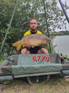 Mirror Carp