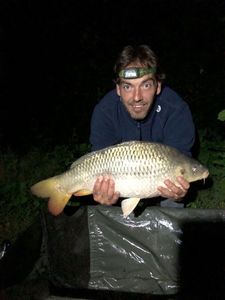 Common Carp