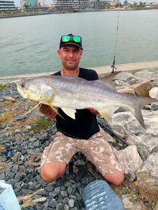 Giant African Threadfin