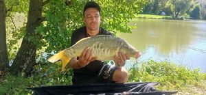Mirror Carp