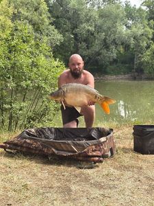 Mirror Carp