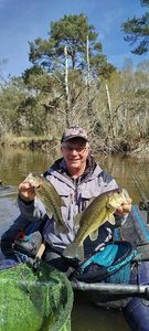 Largemouth Bass