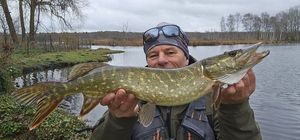 Northern Pike