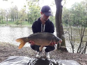 Mirror Carp