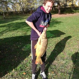 Leather Carp