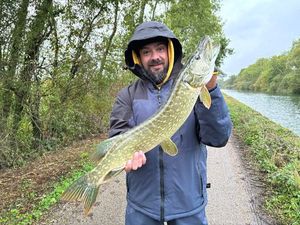 Northern Pike