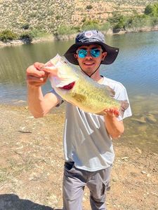 Smallmouth Bass