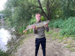 Northern Pike