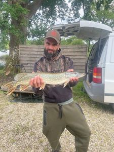 Northern Pike