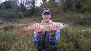 Northern Pike