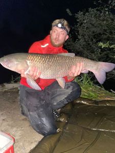 Grass Carp