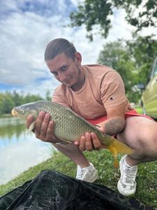 Common Carp