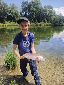 Rainbow Trout