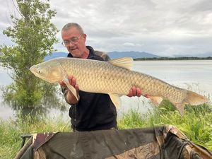 Grass Carp